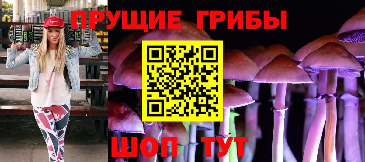 Жигулёвск  Псилоцибиновые грибы Psilocybine cubensis  Вход с VPN 